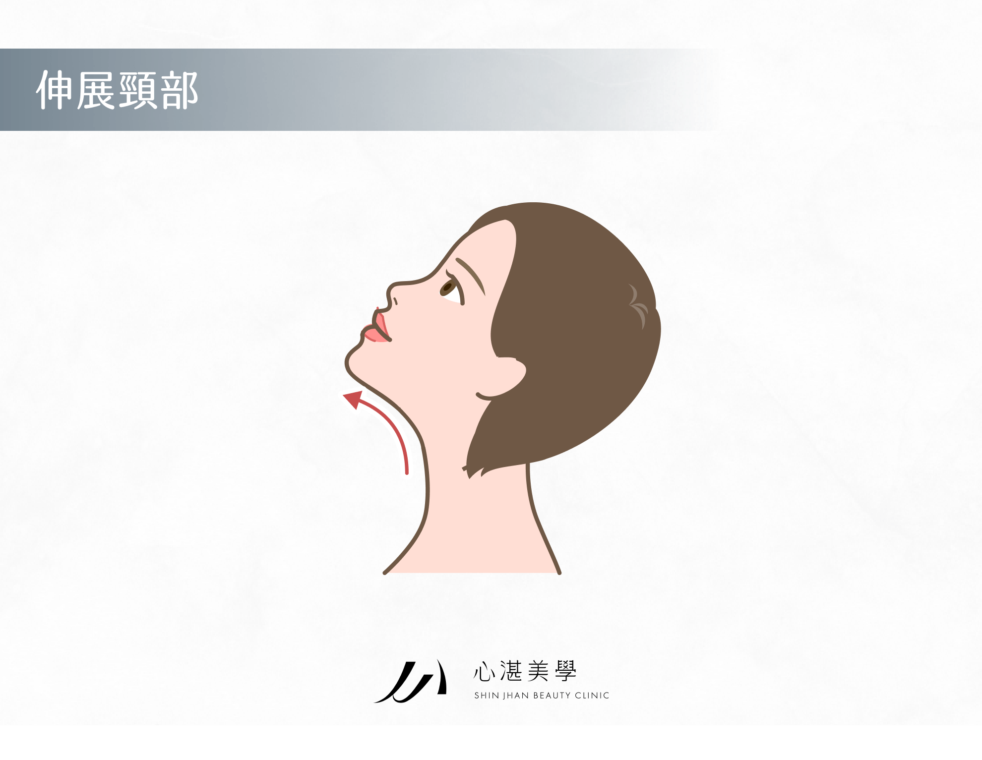 伸展頸部