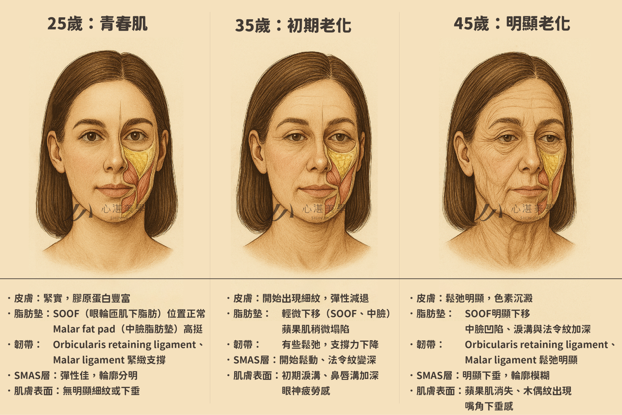 25歲到45歲的老化變化