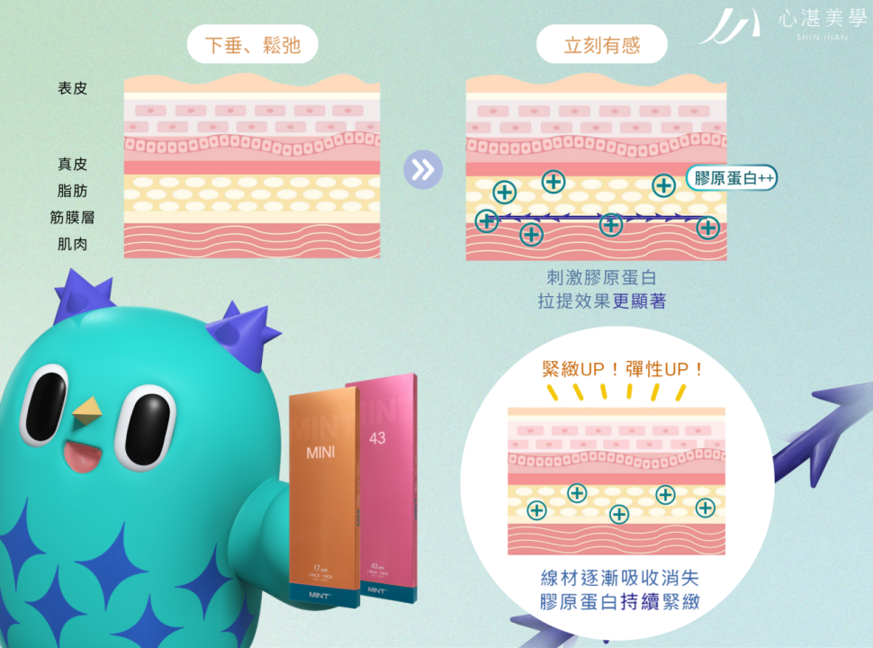 Mint神力拉提作用原理示意圖:PDO線材植入後立即拉提,並持續刺激膠原蛋白新生,使肌膚緊緻有彈性。